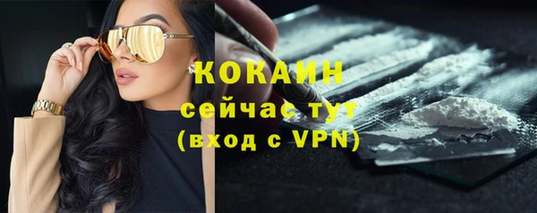 ПСИЛОЦИБИНОВЫЕ ГРИБЫ Абдулино