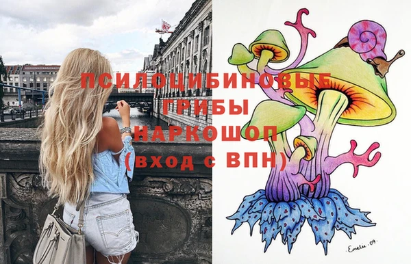 ешки Абаза